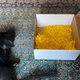Image for article titled Peeps, the new breakfast of champions